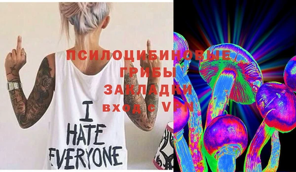 a pvp Михайлов