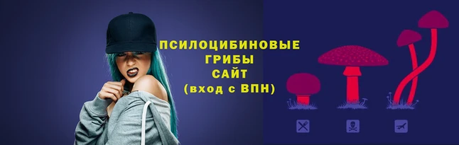 соль ск Наволоки