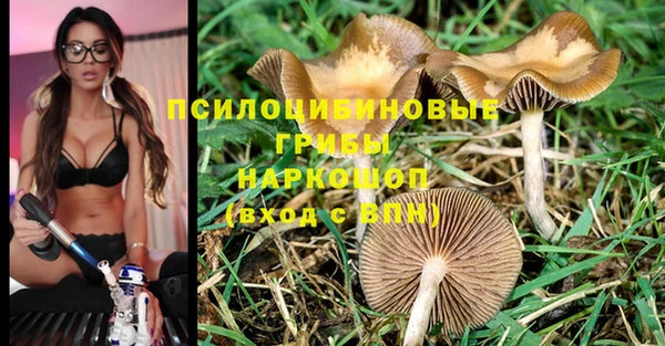 a pvp Михайлов